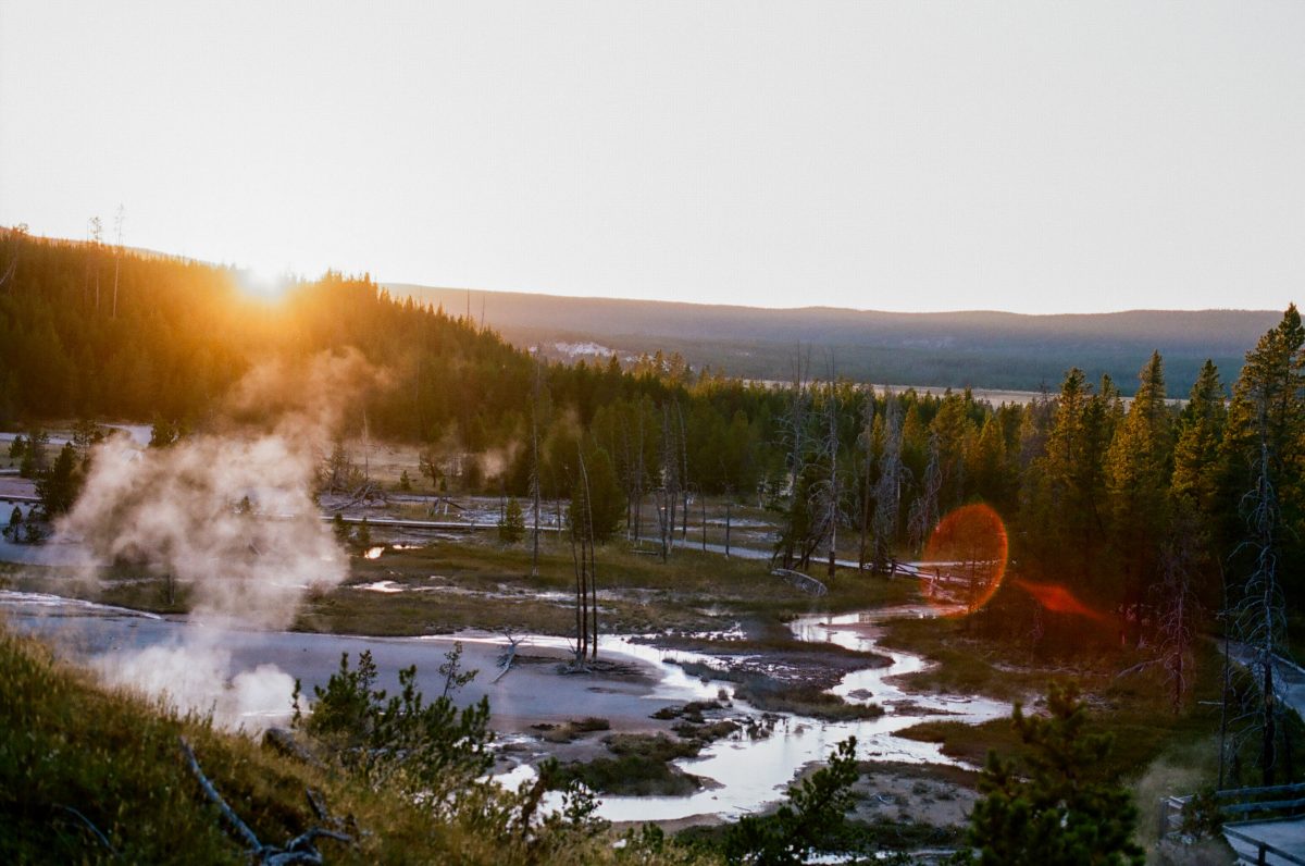 yellowstone-6